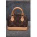 маленькая сумка Louis Vuitton