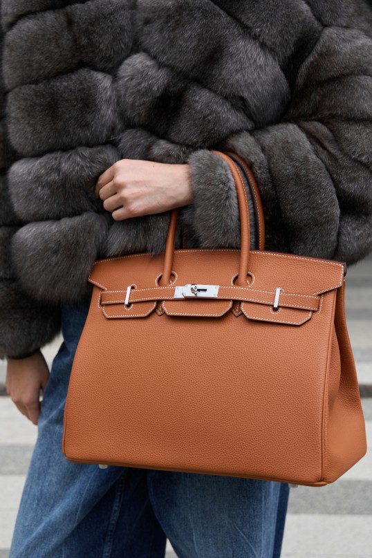 Сумка Hermes Birkin 35
